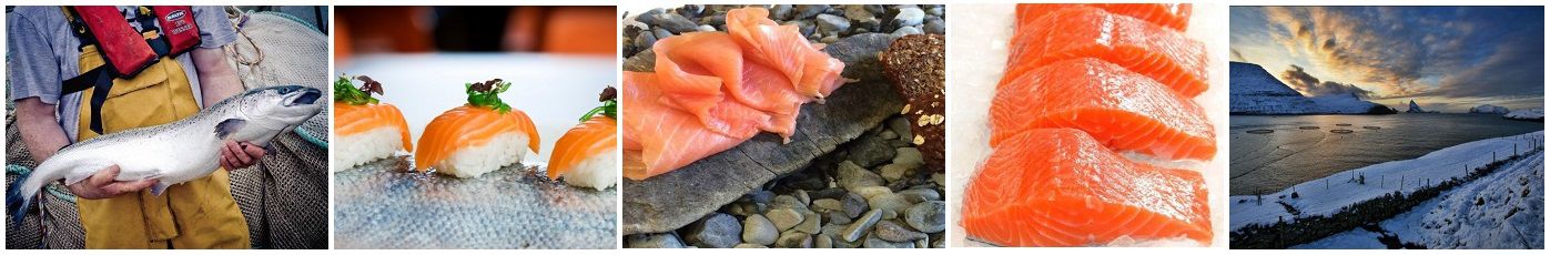 salmon_the_artisan_fishmonger
