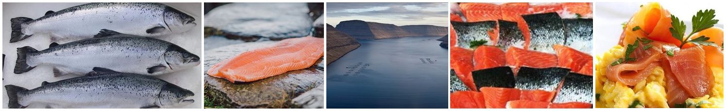 the_artisan_fishmonger_salmon