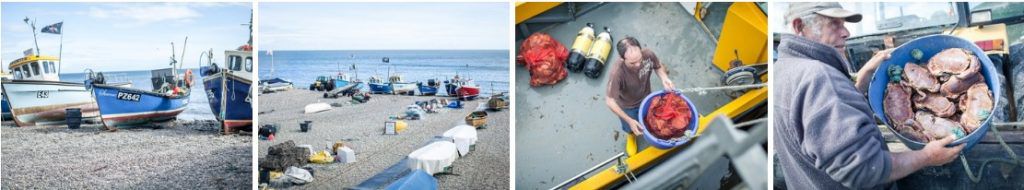 sustainable_fishing