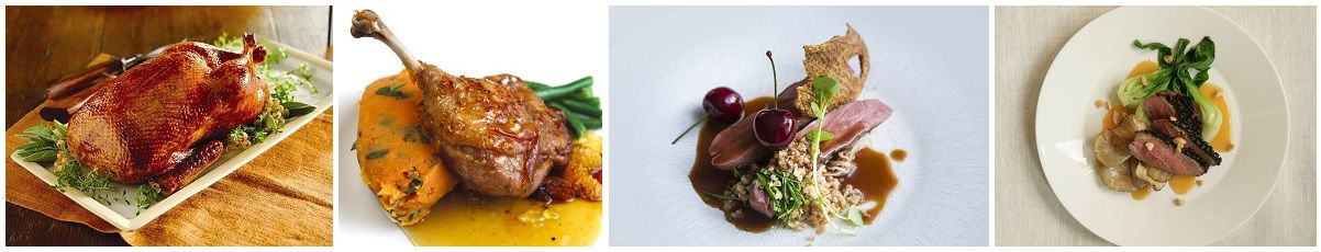 free_range_artisan_duck