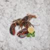 artisan_fishmonger_canadian_lobster