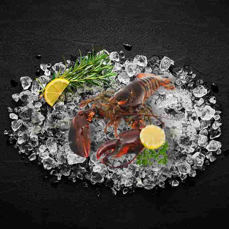 Lobsters Live lobsters_live