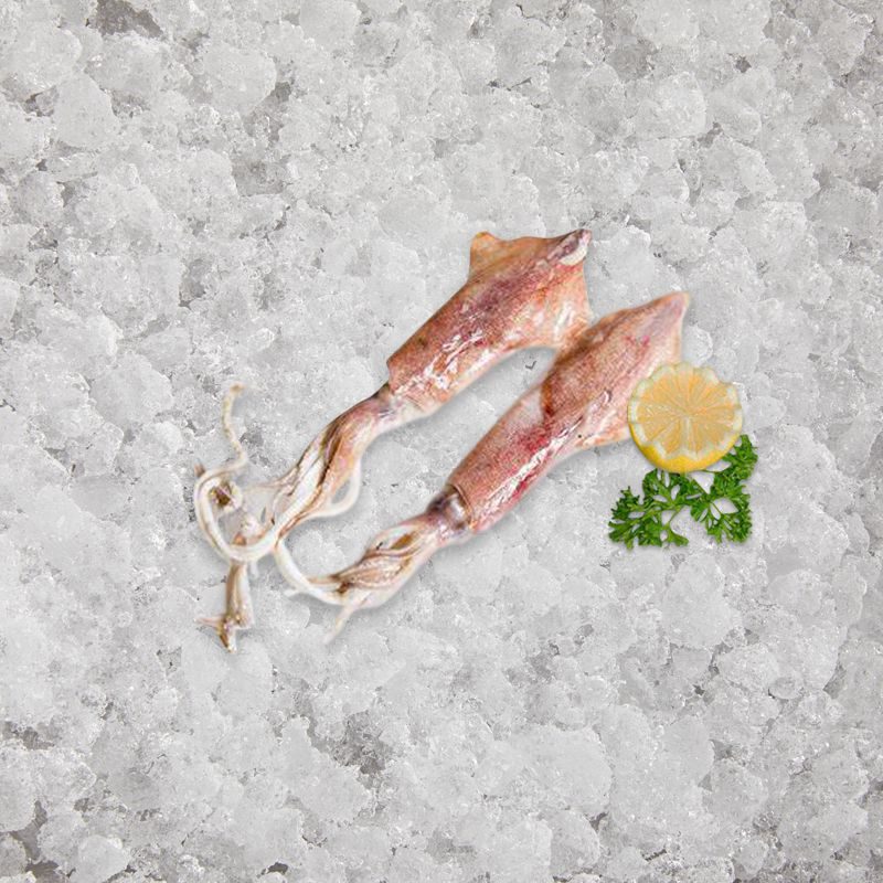 artisan_fishmonger_squid