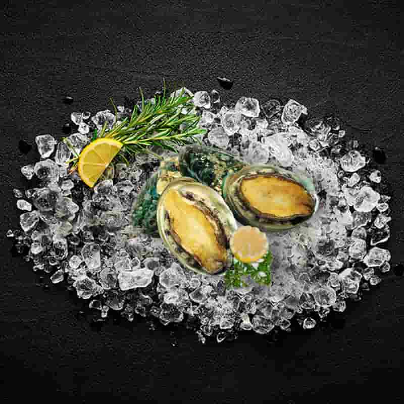 Abalone Sashimi Grade abalone_sashimi_grade