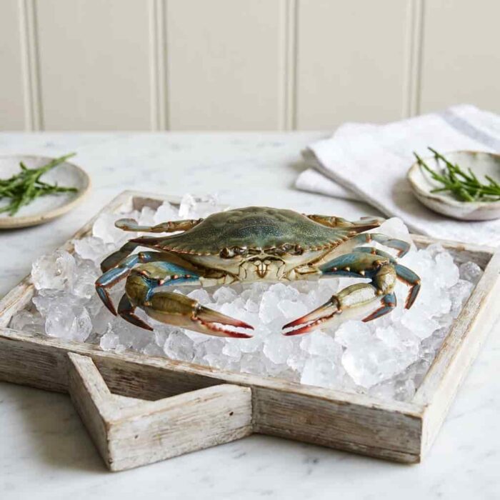 soft_shell_crab_hotels