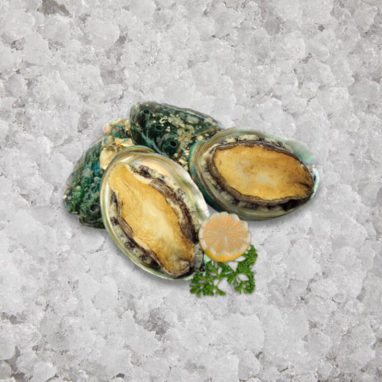 Fresh Frozen Abalone Sashimi Grade 1kg - The Artisan Food Company