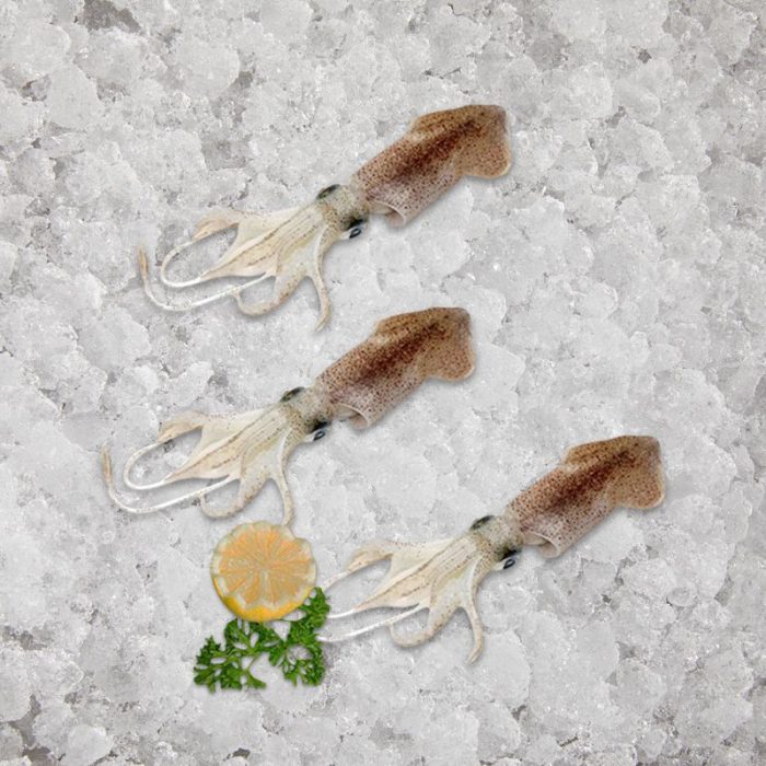 the_artisan_fishmonger_baby_squid_cleaned_thai