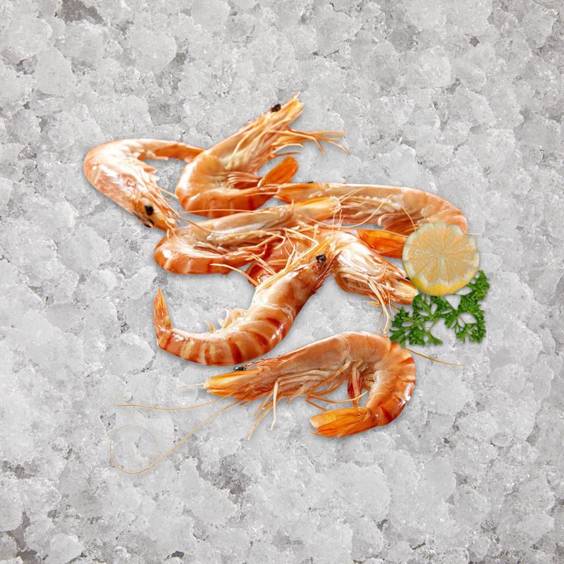 the_artisan_fishmonger_head_on_shell_on_cooked_crevettes