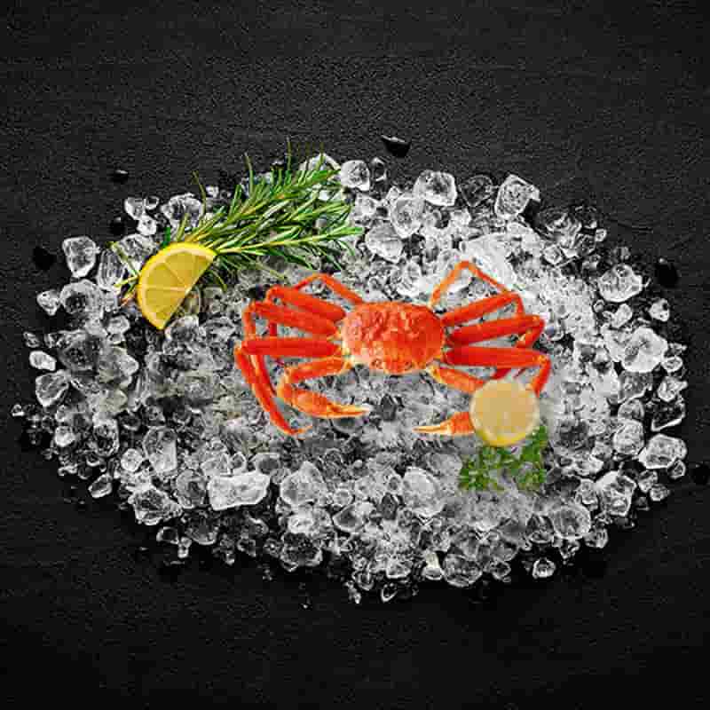 Snow Crab Meat snow_crab_meat