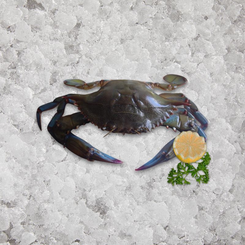 the_artisan_fishmonger_soft_shell_crab_hotels