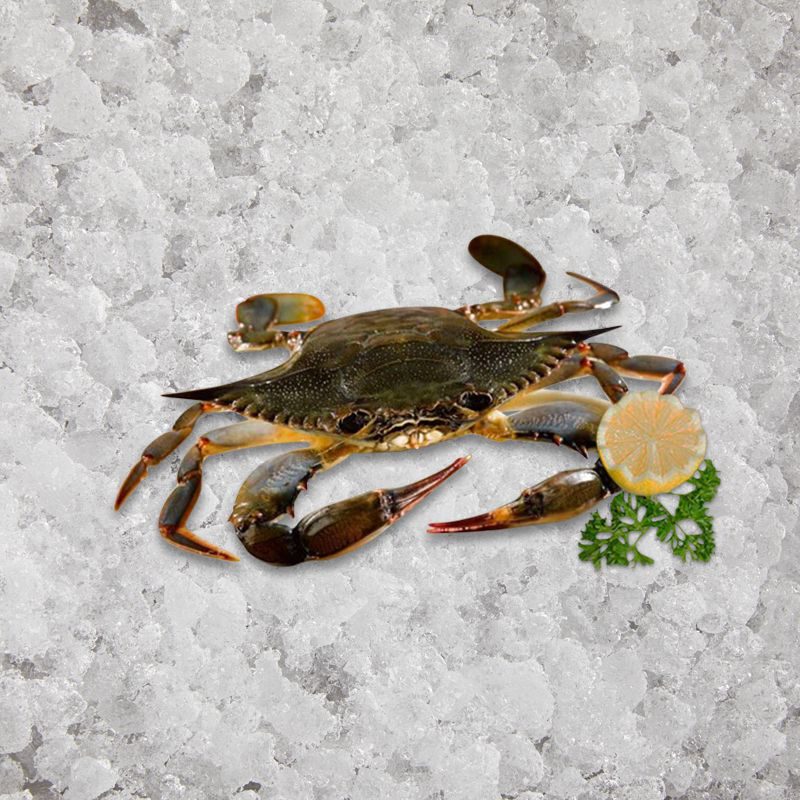 the_artisan_fishmonger_soft_shell_crab_jumbo_12_s