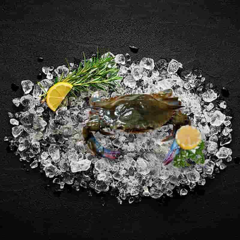 Soft Shell Crab Whales soft_shell_crab_whales