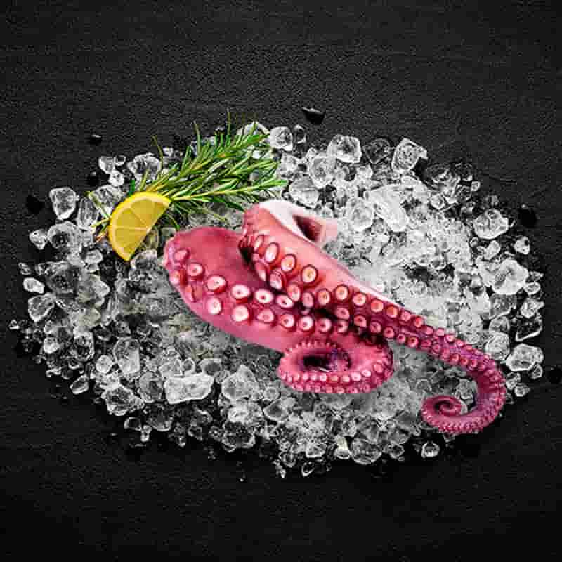 Octopus Leg Cooked octopus_leg_cooked