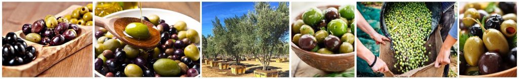 olives_oil