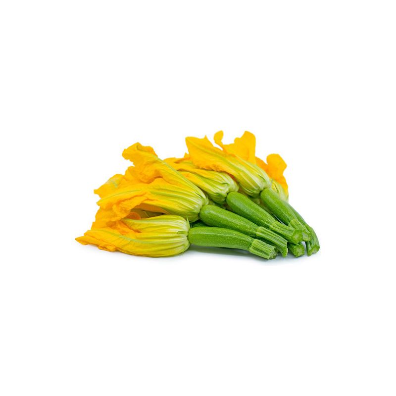 yellow courgette flowers on a white background unique vegetables