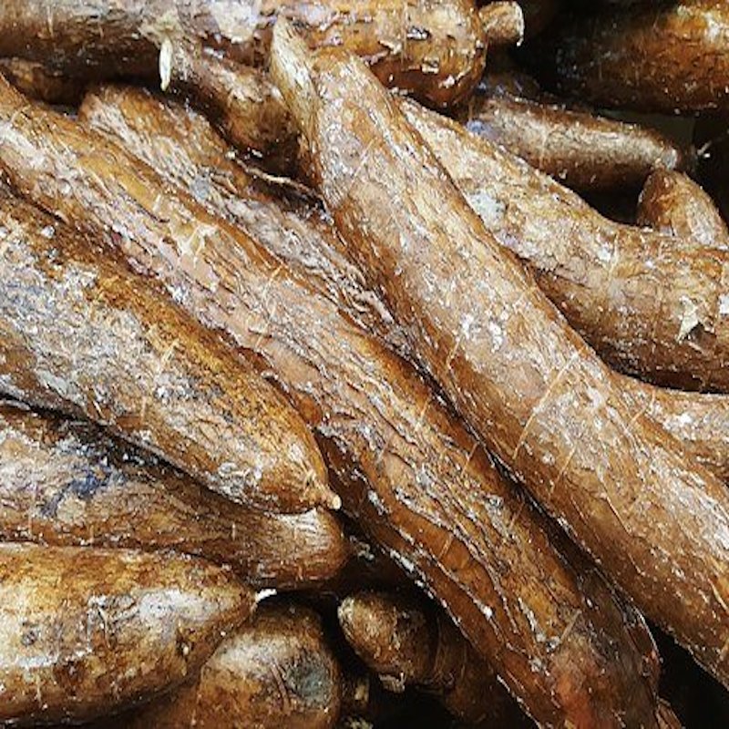 close up image of cassava or mogo