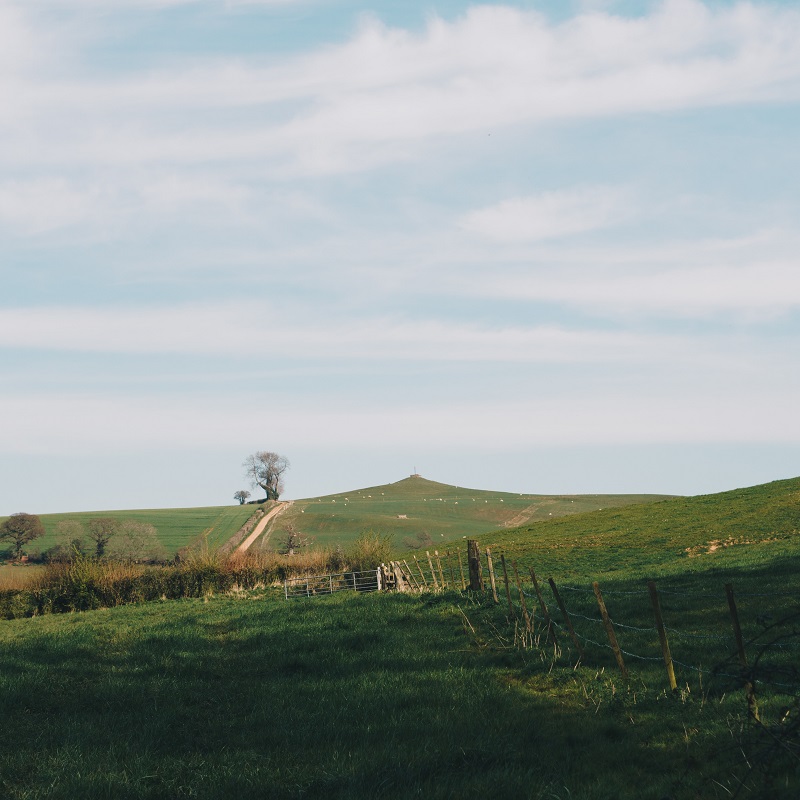 farmland in somerset uk on a hill at dusk