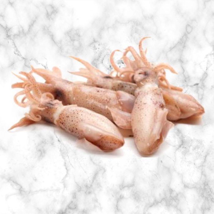 sea_food_baby_squid_1kg_from_asia