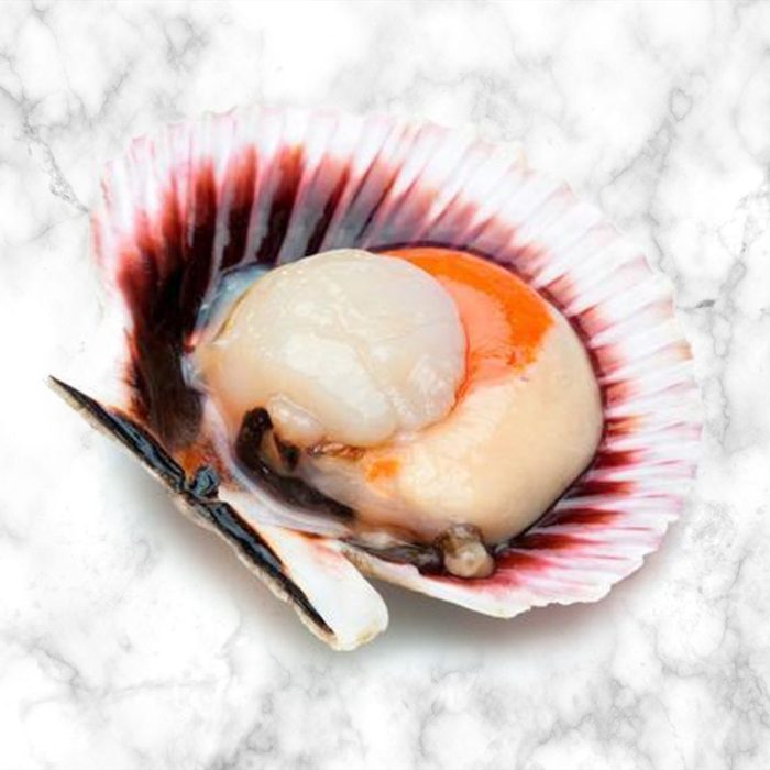 sea_food_scallops_in_the_shell_1kg_from_galicia