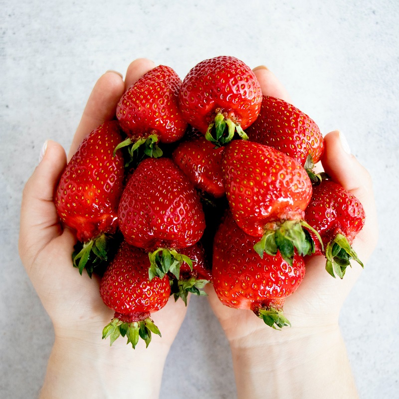 cupped hands holding fresh red strawberries over a white background