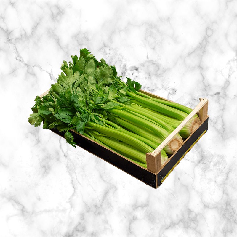 celery_leafy_green_from_italy