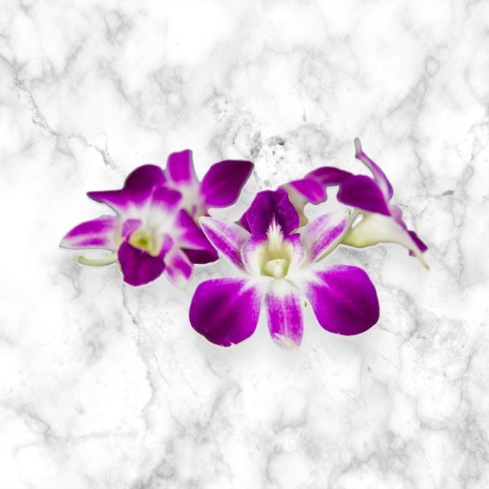 edible_orchids