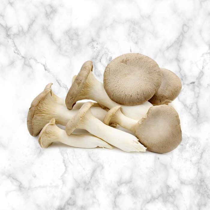fresh_eryngii_king_oyster_mushrooms