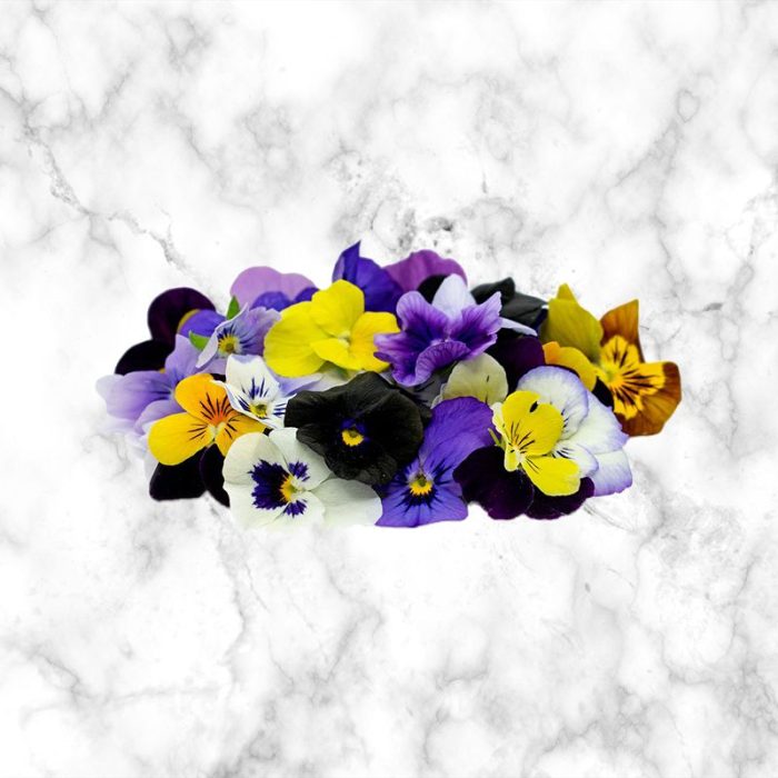 viola_flowers