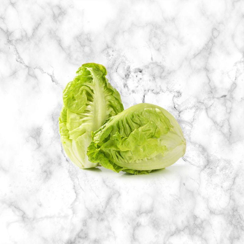 lettuce_little_gem