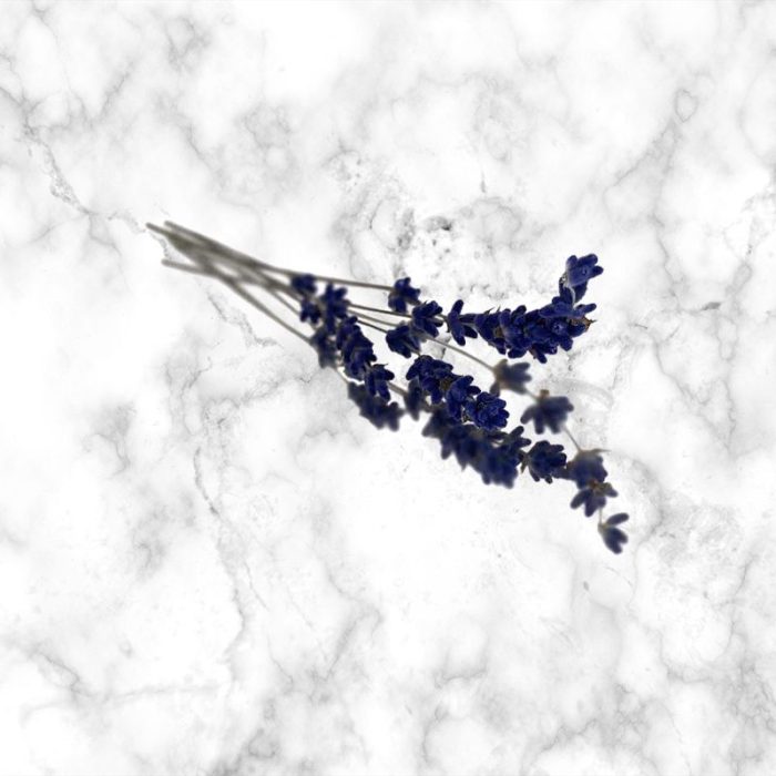 lavender_dried_edible_flowers