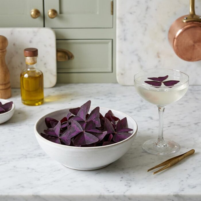 butterfly_red_sorrel_edible_leaves