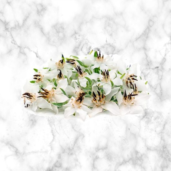 Edible Borage Flower, Pack of 12 Buy Now The Artisan Food Co