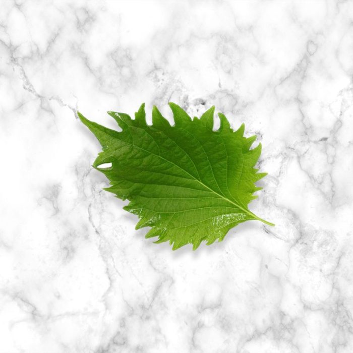 green_shiso_edible_leaves