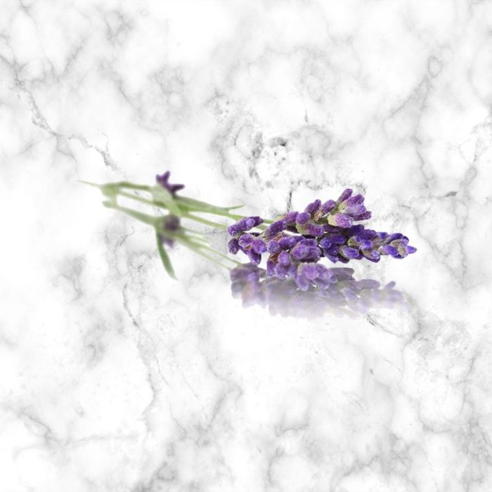 lavender_edible_flowers