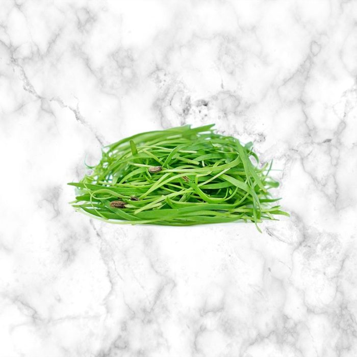 micro_fennel_salad