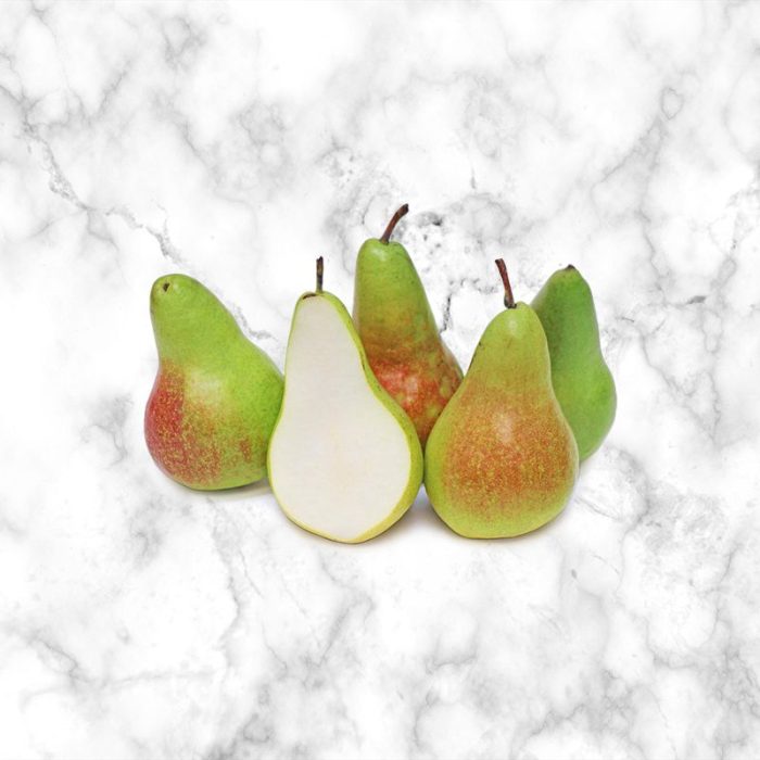 pears_conference