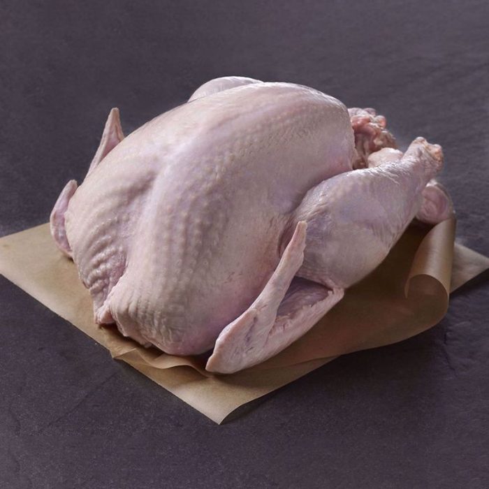 fresh _bronze_turkey