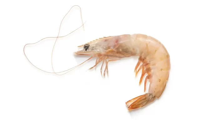 hispamare_white_prawn_wild_1kg