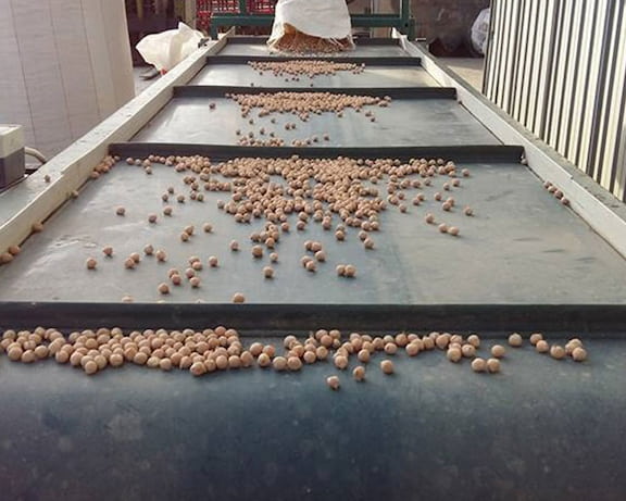 bittarelli_production