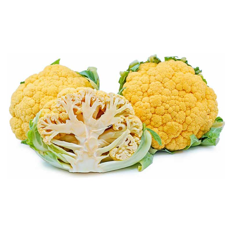coloured_cauliflower_orange