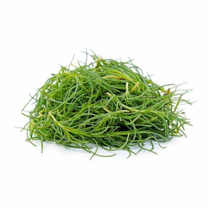 barba_di_frate_loose