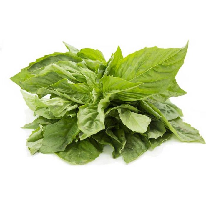 basil