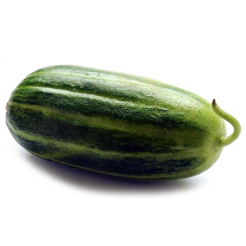 carosello_cucumbers_meloncelle carosello_cucumbers_meloncelle