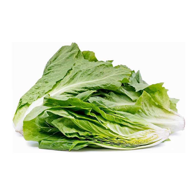 catalonian_chicory_puntarelle catalonian_chicory_puntarelle