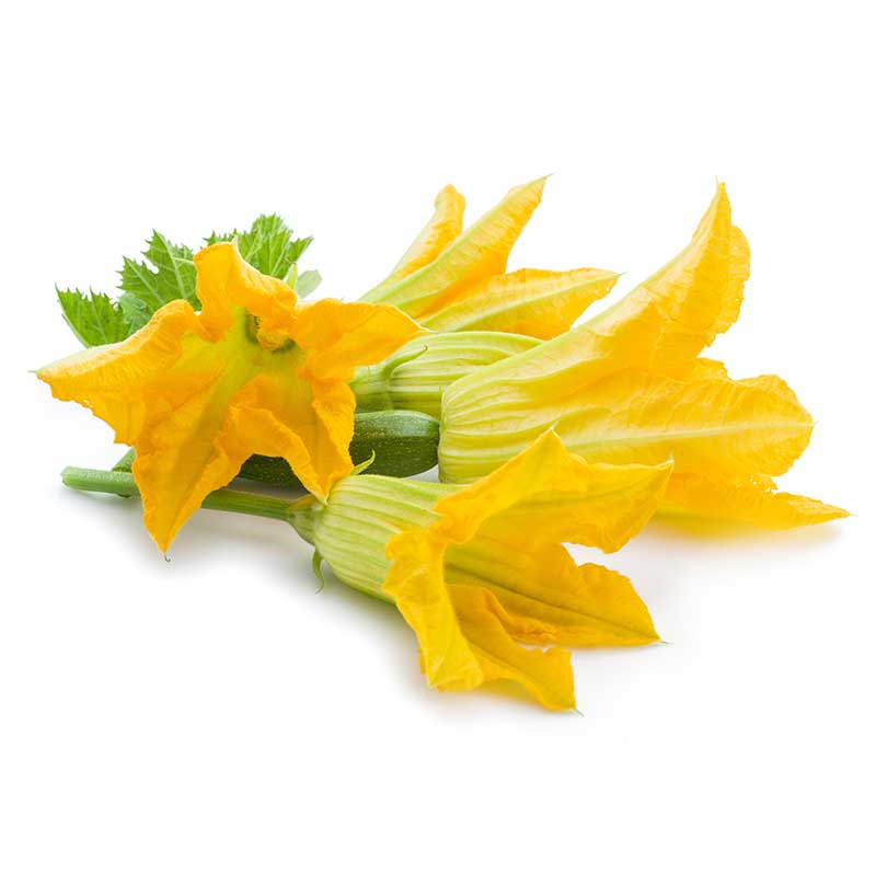 courgette_flowers courgette_flowers