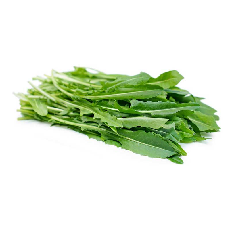 dandelion_greens_lions_teeth_in_bunches dandelion_greens_lions_teeth_in_bunches