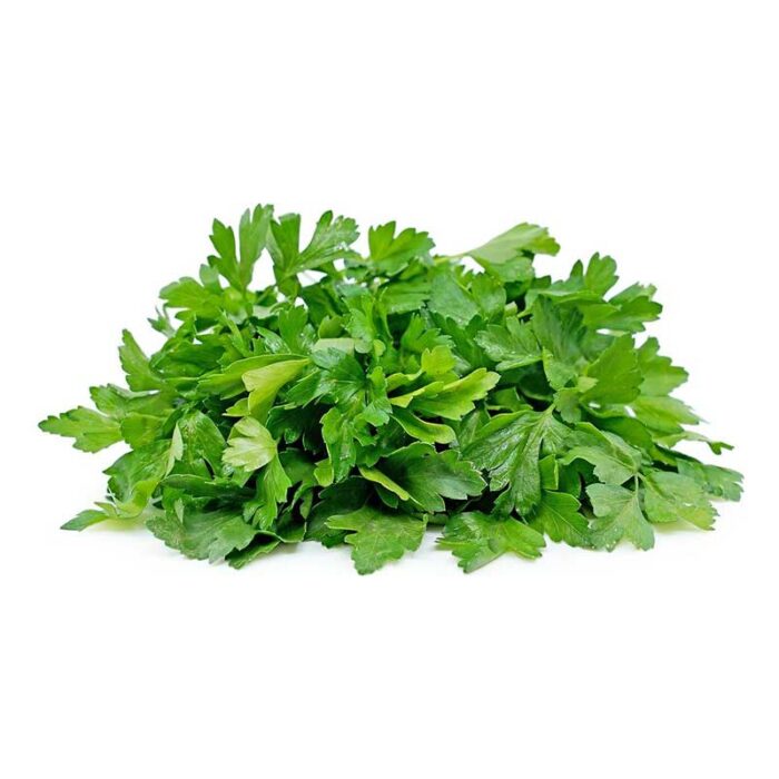 flat_leaf_parsley_in_bunches