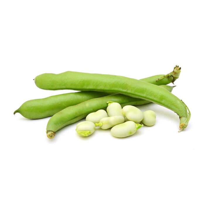 fresh_broad_beans