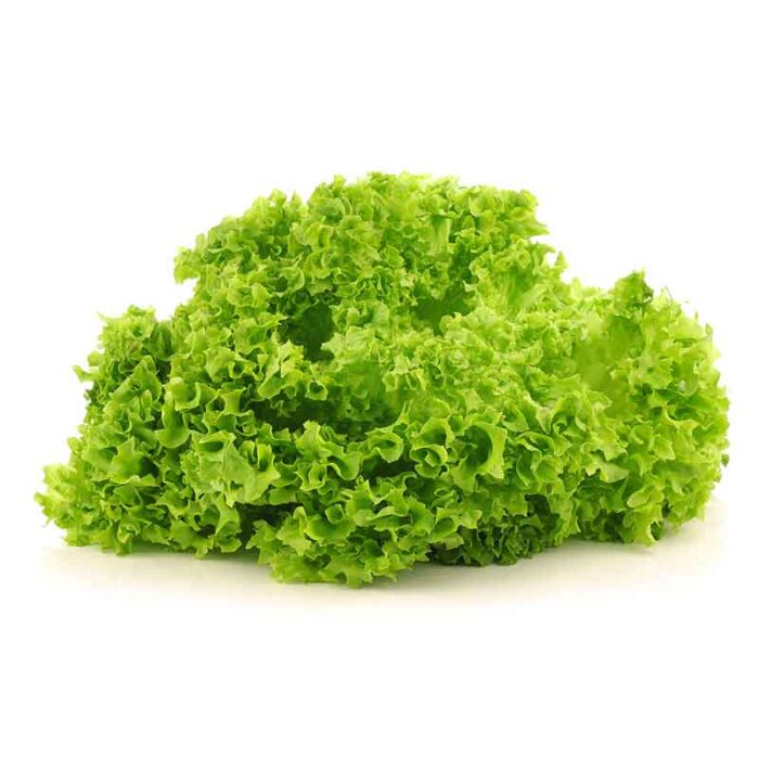 lollo_bionda_lettuce