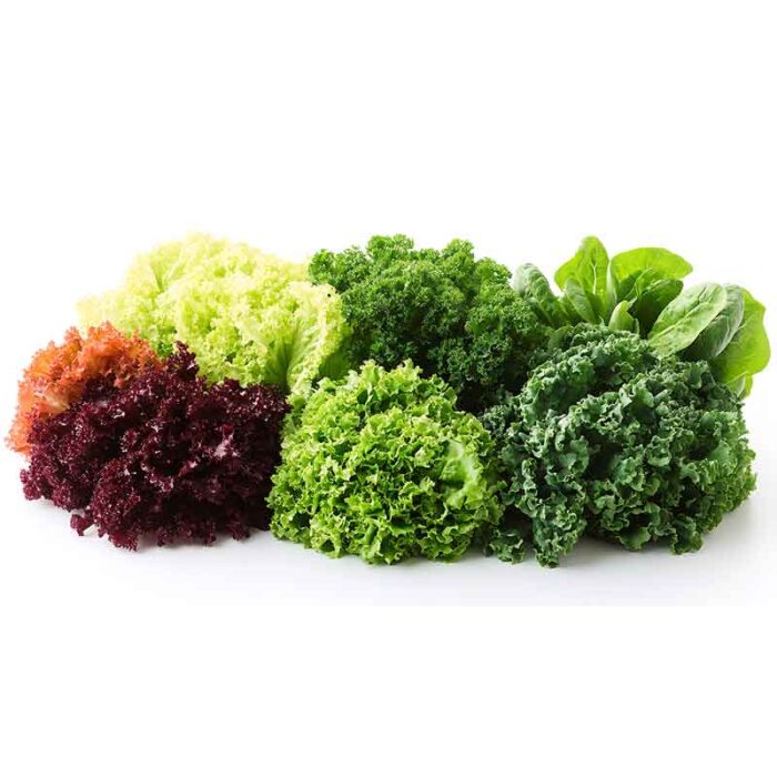 lollo_mix_lettuce